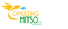 Consulting Mitso